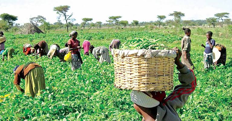 Agricultural Partnership